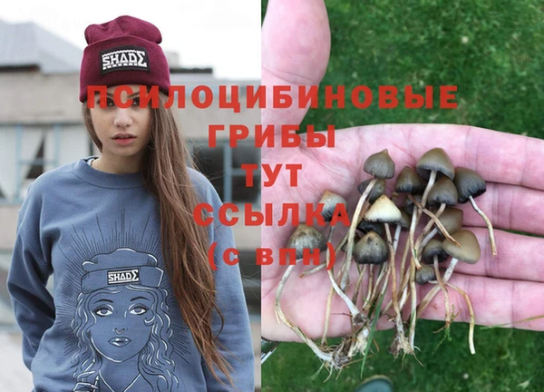 дживик Волосово