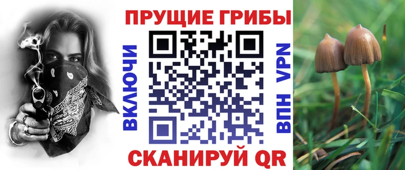 наркошоп Псков Псилоцибиновые грибы Magic Shrooms