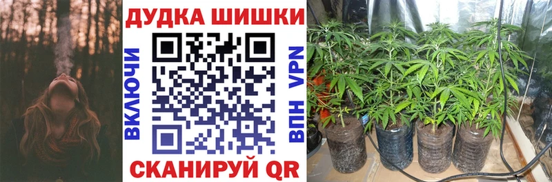 что такое   darknet Telegram  Конопля Amnesia  Псков 